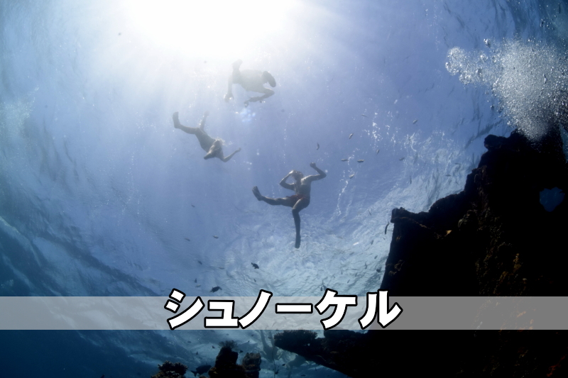 バリ島
スノーケル
シュノーケル