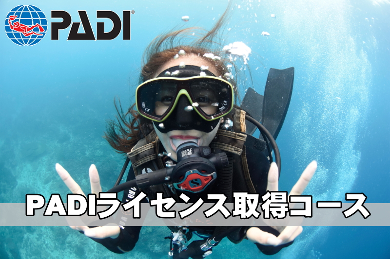 バリ島
ライセンス講習
ダイビング