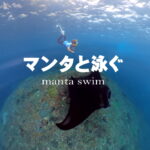 バリ島 ダイビング シュノーケル