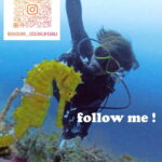 バリ島 インスタグラム