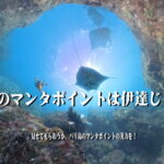バリ島 ダイビング
