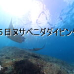 バリ島 ダイビング