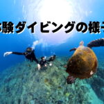バリ島 ダイビング
