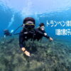 バリ島 体験ダイビング