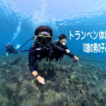 バリ島 体験ダイビング