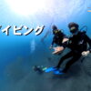 体験ダイビング