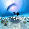 体験ダイビング