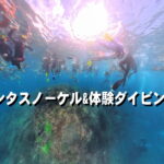 バリ島 シュノーケル