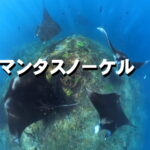 マンタシュノーケル