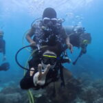 バリ島 体験ダイビング