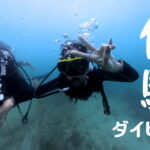 バリ島 体験ダイビング