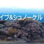 体験ダイビング